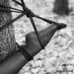 Tied foot - Autumn in the ropes