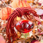 Ropes with a glass of wine - Autumn in the ropes